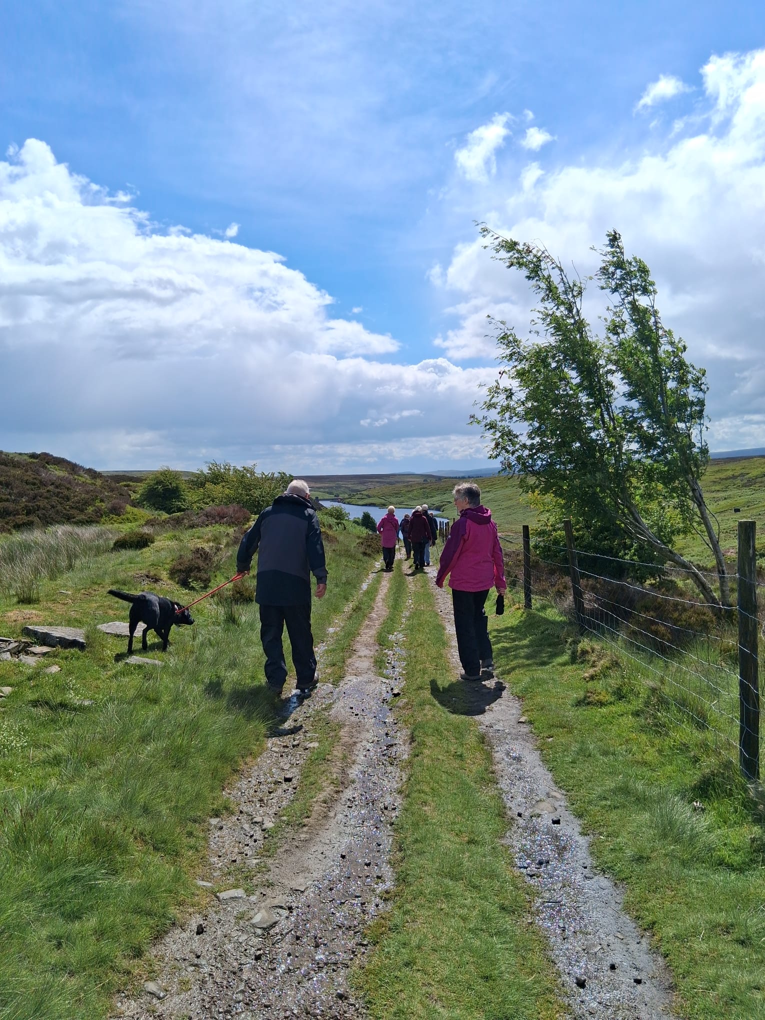 Trinity Walking group